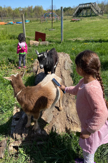Visiting the farm field preschool trip